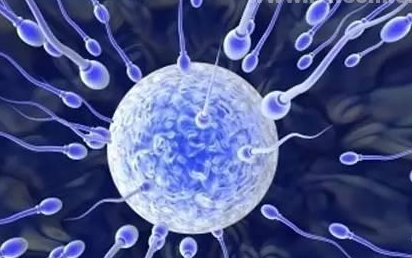 长春市生孩子做染色体检查有必要吗，筛查一次大概需要多少钱？