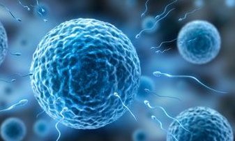 死精率80%的男性可以在重庆市做三代试管吗？公开2026做三代试管条件