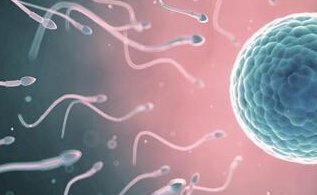 在讷河市做试管婴儿长方案周期需要多久？超长方案促排流程是怎么样的？