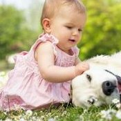 做的试管婴儿会早产吗（试管婴儿一般会早产还是延迟）