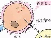 武汉做第三代试管婴儿的攻略；流程