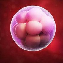 染色体异常不孕能在三峡大学附属仁和医院做三代试管怀孩子吗？男人染色体有问题能做试管吗？