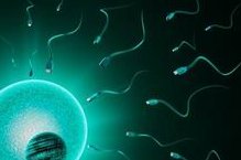 试管降调用的达菲林和达必佳有什么不同？