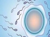 玉林哪里做试管婴儿较好？玉林做试管需要多少钱？