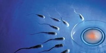 福州有名老中医看不孕不育（福州有名老中医看不孕不育的医生）