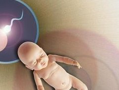 吉林市做第三代试管婴儿费用是多少钱，哪医院做？