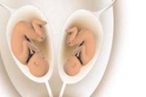 枣庄市妇幼保健院试管婴儿多少钱