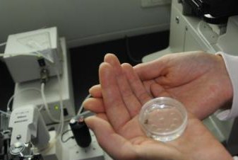 在和龙市做试管婴儿长方案周期需要多久？超长方案促排流程是怎么样的？